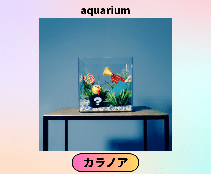 エクア ウォーターボトル ミスマッチ ベーシック EQUA – shop-noted